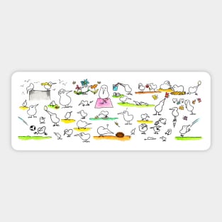 Funny Kiwi Birds Sticker